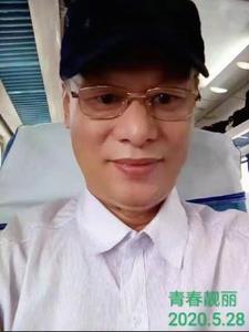 青春靓丽打最佳一肖