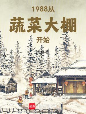 1988从蔬菜大棚开始无防盗