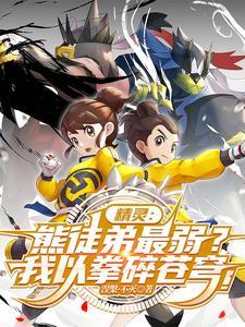 武道熊师道具