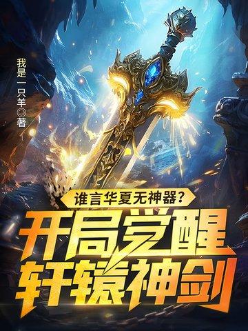 华夏第一统帅轩辕晨苏韵锦