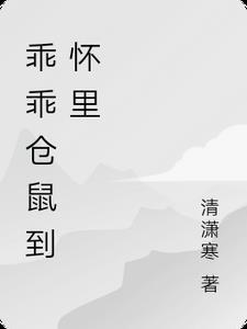 仓鼠乖巧时是什么样子