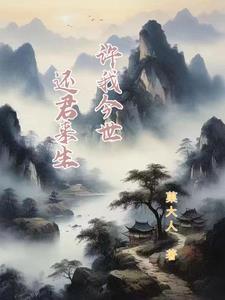 许我来生再爱你的感言