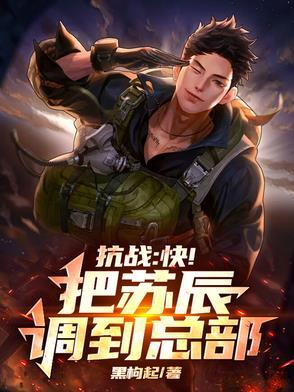 一部主角叫苏辰