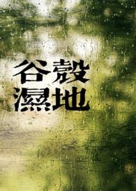 谷壳湿地讲的什么