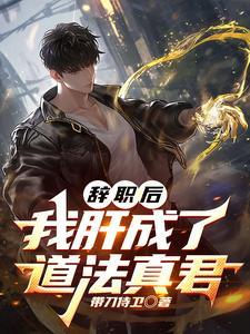 辞职后我成了万人迷