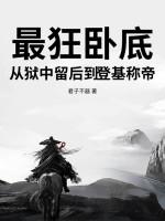 史上最牛卧底