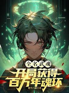 全能武魂抽奖系统