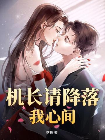 机长大人请降落全本