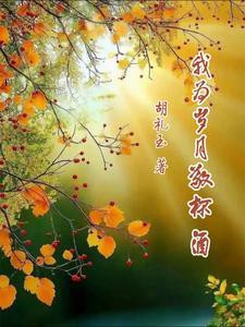 我敬岁月三杯酒