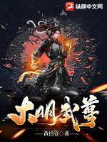 大明武相免费阅读