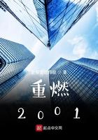 重燃2001无错版笔趣阁