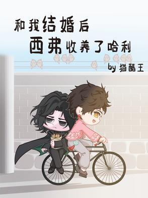 和我结婚后西弗收养了哈利txt