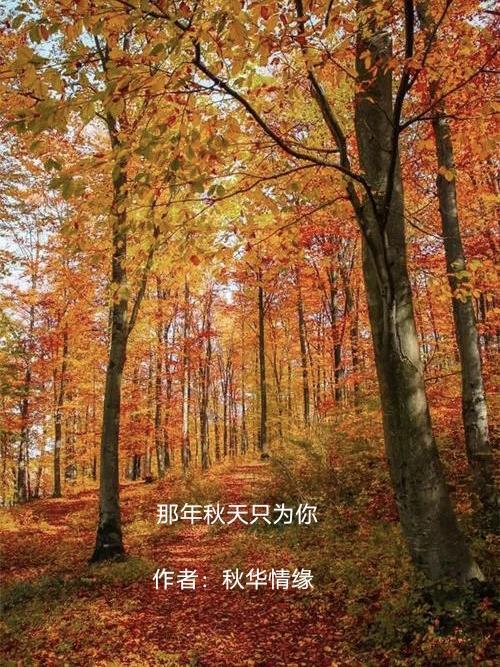 那年秋天电视剧