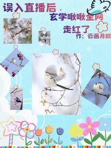 小乌金大乌金
