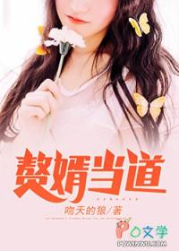 赘婿当道超级女婿免费阅读