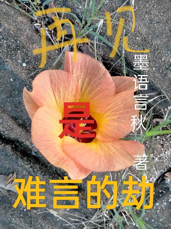 再见很难是什么意思?