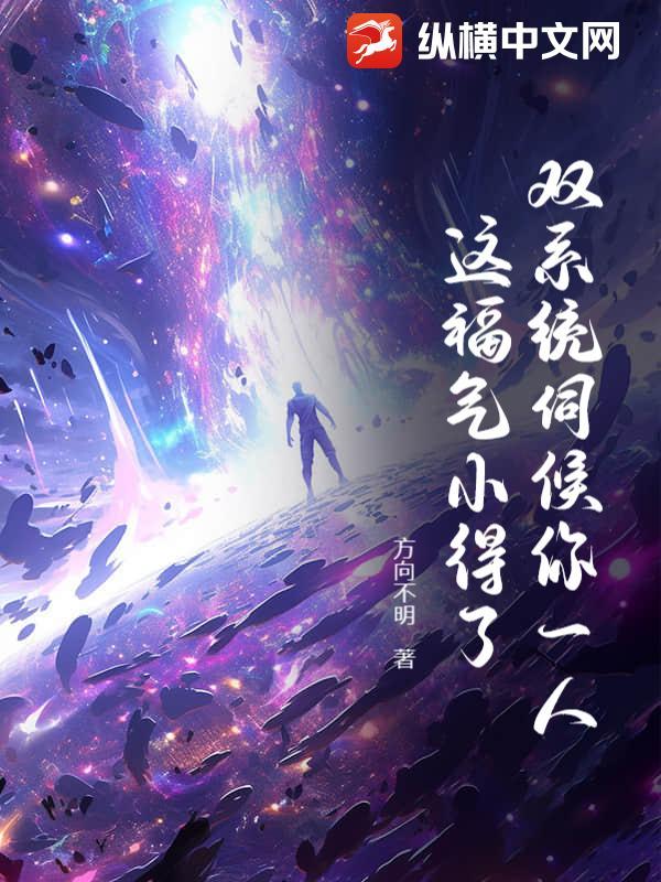 双系统的作用