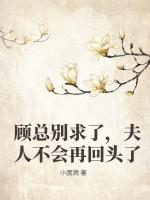夫人不会再回头了免费阅读