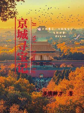 北京寻宝记的内容