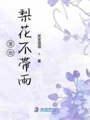 梨花落雨是成语吗
