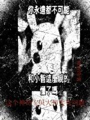 宝可梦专题百科