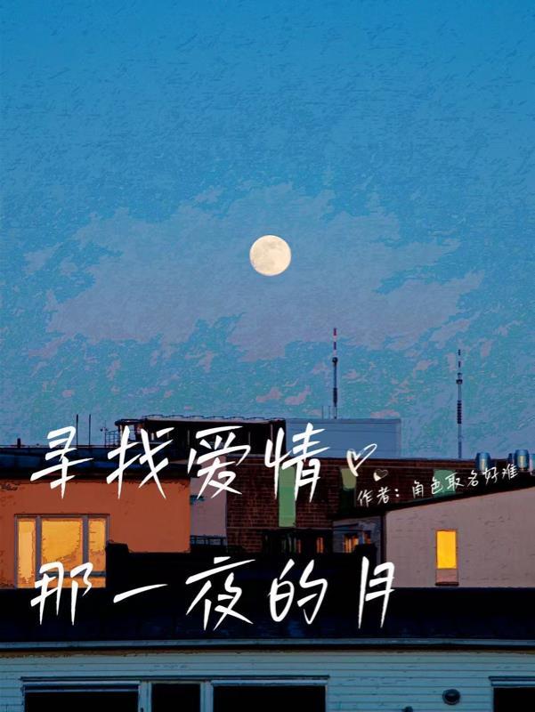 寻找爱情的下落片段