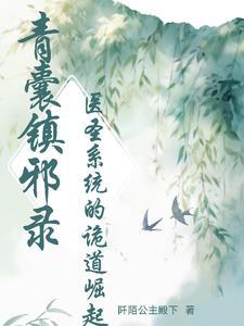 青囊经医书