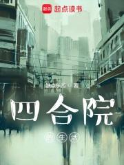 四合院的生活 缺点东西