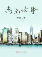 离岛日记是什么