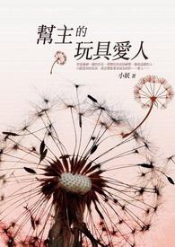 玩具替主人报仇的电影