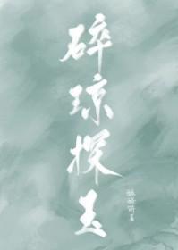 碎琼探玉分节阅读