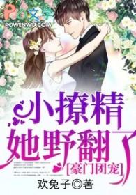 豪门团宠小少爷