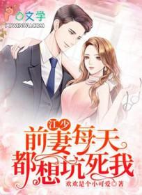 前妻求再嫁免费江烟柔