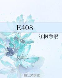 E408陆鸳的结局