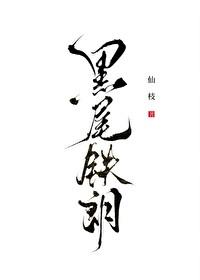 排球少年灰黑