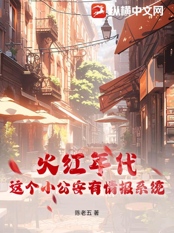 火红年代这个小公安有情报系统txt