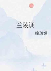 兰陵调查报告