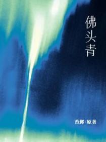 佛头青by苔邺著讲了什么