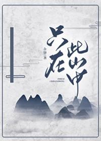 言师釆药去云深不知处只在此山中