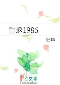 重返1986沈铭