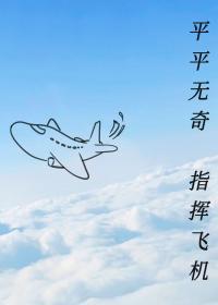 平平无奇指挥飞机晋江