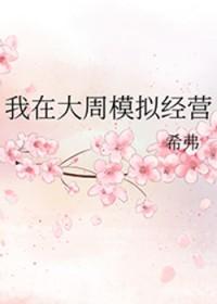 我在大周模拟经营txt