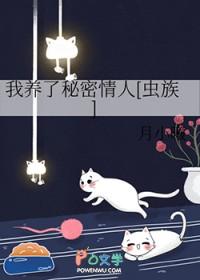 我养了猫