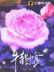 不务正夜醇白