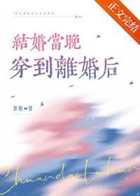 结婚当晚穿到离婚后晋江
