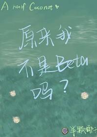 原来我不是n p c
