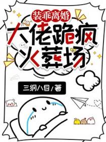 大佬跪疯火葬场 百度资源