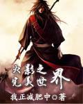 火影之完美世界有声剧