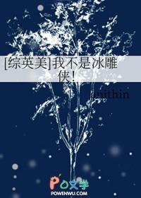 综英美我不是冰雕侠免费阅读
