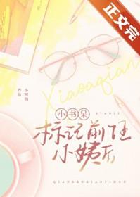 小书呆标记前任小姨书评